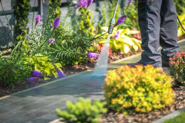 Best Soft Washing  in Green Knoll, NJ