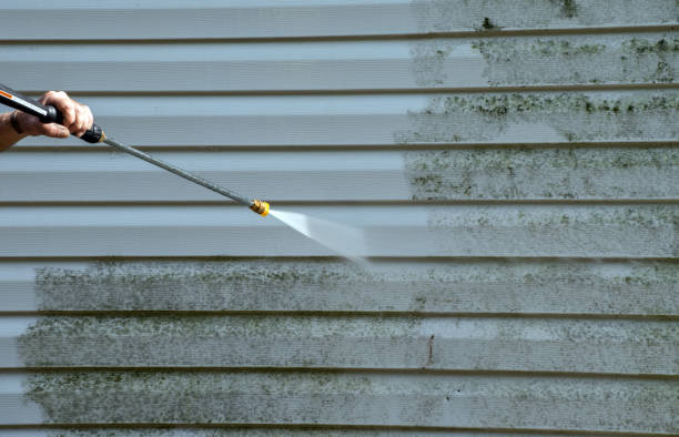 Best Sidewalk and Walkway Cleaning  in Green Knoll, NJ